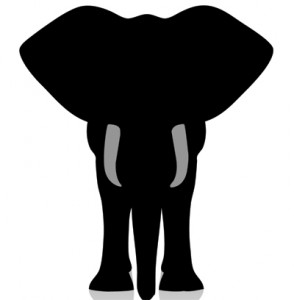 Elephant Image